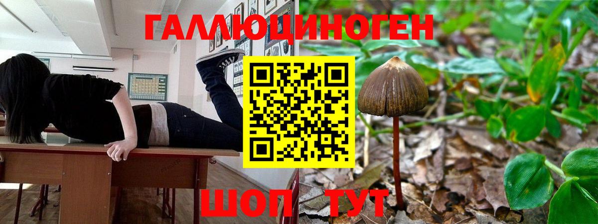 Галлюциногенные грибы прущие грибы  Вход с VPN  Сургут 